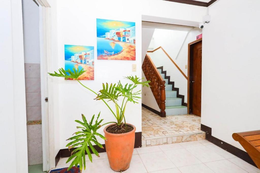 Mayon Backpackers Hostel Legazpi City Exteriör bild